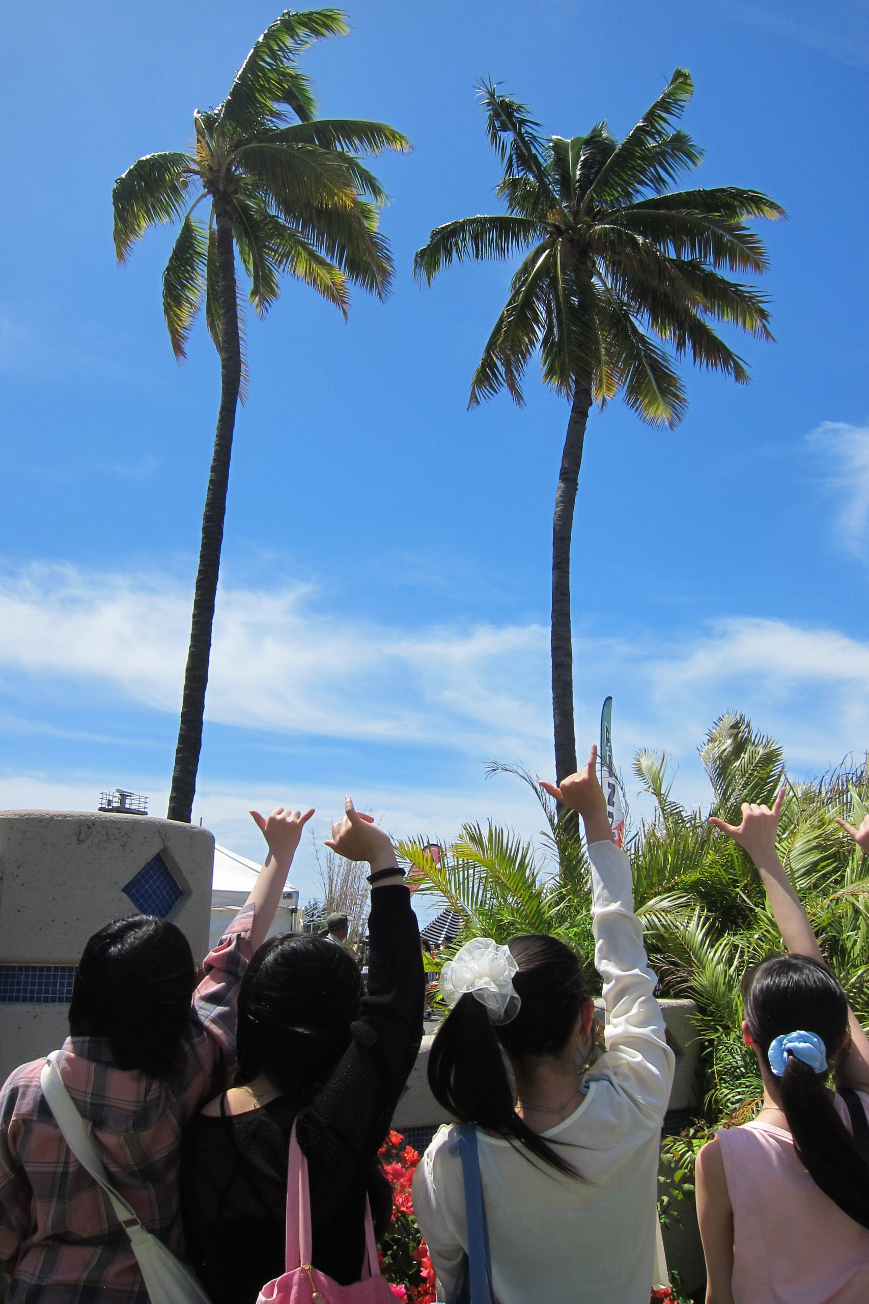 Kaka’ako Farmer’s Market