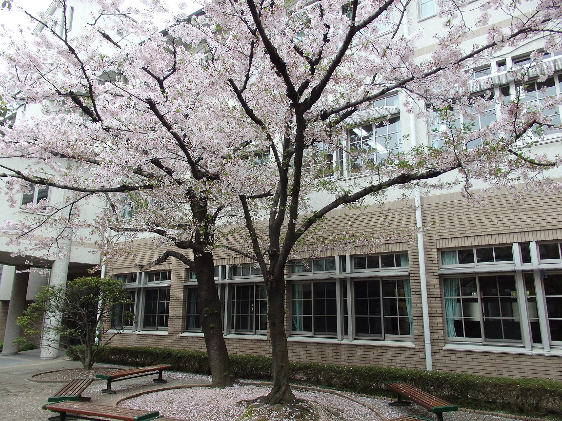 広島女学院高等学校校内画像