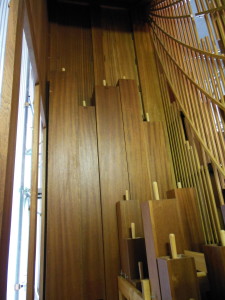 organ